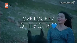 Ветреный / cvetocek7 💙отпусти...