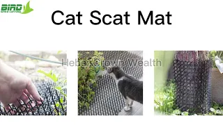 Cat Scat Mat