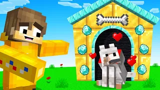 Building My Dog A HOUSE In MINECRAFT! (Squid Island)