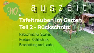 Trauben im Garten 2022 - Teil 2 - Rebschnitt für Spalier|Kordon|Beschattung|Sichtschutz|Laube