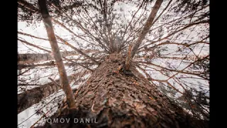 Wild forest.Beautiful music.Wild nature of Russia.Дикая природа России.Природа России.