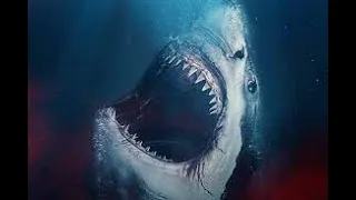 The Requin(2022)Movie Explained in Hindi/Urdu Summarized#movieexplainedinhindi #moviereview #horror