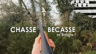 Chasse de la Bécasse en Bretagne - Une scène hors du commun !