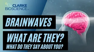 Brain Waves:  What Are They and What Do They Say About You?