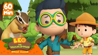 Help KAI escape from the CRITTERS!! 🐿️😖 | 1 HOUR | Best of Leo the Wildlife Ranger | Kids Cartoons