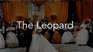 Wonder of The Leopard (Il Gattopardo)
