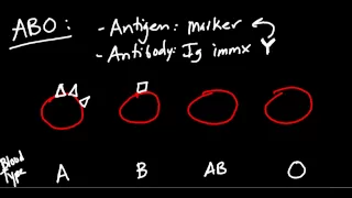 Blood Type (ABO and Rh) Made Simple!