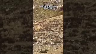 New video of a Bigfoot spotted from a train in a remote area of Colorado. What do you think?