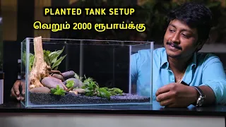 2000 ரூபாய்க்கு Planted Tank Setup | Low Price Planted Tank And Accessories | Cloning Aqua