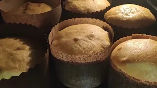 Panettone Paska Kulich Baking