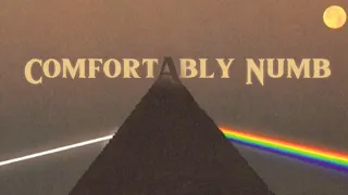 Pink Floyd - Comfortably Numb Last Part (Slowed + Reverb)