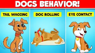 10 weird dog behaviors explained and what they actually mean