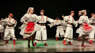 FEST DANCE LOVE SING LOVE ВЕСЕЛКА ВАСИЛЬКІВ "ЗАКАРПАТСЬКИЙ КРУЧЕНИЙ"