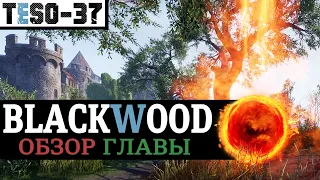 Blackwood ОБЗОР. Чёрный лес, спутники и Update 30 с кучей изменений. TESO(2021)