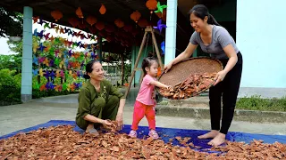 Treasures of the green forest. Meet rare herbs, harvest and sell, make flower trellises