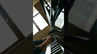 Notre Dame de Paris - Belle (piano)