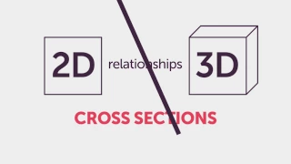 Cross Sections