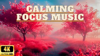 Relaxing Piano Music : Calming Focus Music for Studying & Working - Study Music, Relaxing Music