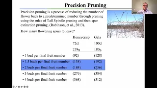 Terence Robinson – Updates on horticultural work, Flow chart for Precision Crop Load