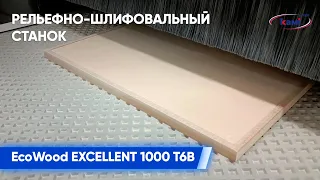 Рельефно-шлифовальный станок EcoWood EXCELLENT 1000 T6B | Финишное шлифование заготовки