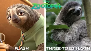 Disney Zootopia Characters in Real Life