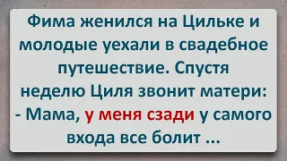 ✡️ Болит Сзади у Самого Входа! Анекдоты про Евреев! Выпуск #294