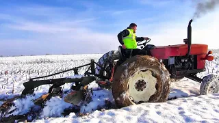 Winter plowing-Mergem la arat cu UTB 650 decapotat pe zăpadă👉⚙❄💨🚜