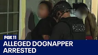 Woman arrested in DTLA dognapping; dog not found