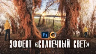 Обработка Пейзажа в Фотошопе / Эффект Cолнечный свет / Плагин Nik Collection / Adobe Photoshop