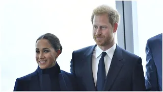 Royal author's harsh six-word opinion on Meghan Markle as she slams Prince Harry