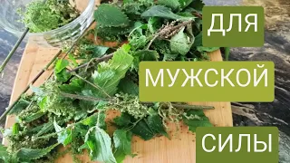 СЕМЕНА Крапивы Для мужской силы