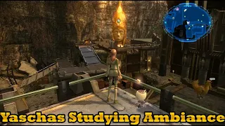 Yaschas Massif, 01XAF Studying Ambiance (FFXIII-2)