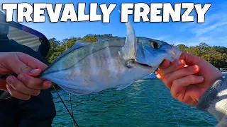 Trevally After Trevally On This Lure!