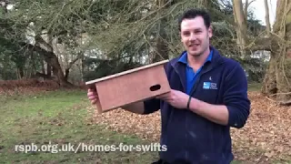 Homes for swifts
