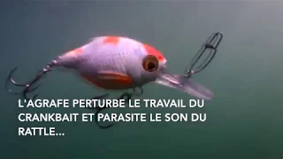 Quelques conseils de pêche aux leurres