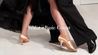 Waltz Basic Count to the Music