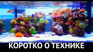 Морской рифовый аквариум - коротко о технической стороне.