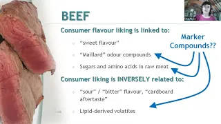 Understanding consumer liking of meat