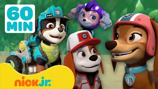 Patrulha Canina | Conheça os NOVOS Membros da Equipe da Patrulha Canina! | Nick Jr. em Português