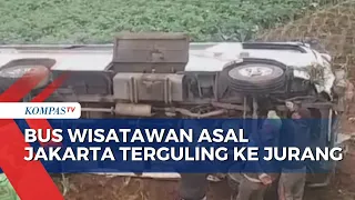 Bus Angkut 19 Wisatawan Asal Jakarta Terguling ke Jurang, 7 Orang Alami Luka Berat