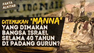 DITEMUKAN "MANNA" MAKANAN DARI TUHAN UNTUK BANGSA ISRAEL SELAMA 40 TAHUN? | #FaktaAlkitab