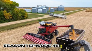 First Day of Corn Harvest 2023 (with truck and grain cart Drivers)!