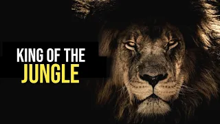 LION's MINDSET : King of the Jungle | Powerful Motivation