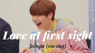 "LOVE AT THE FIRST SIGHT" JEONGIN STRAY KIDS [ONE SHOT]