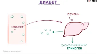 14 ноября – Всемирный день борьбы с сахарным диабетом