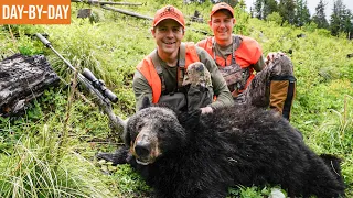 BEAR DOWN! | Montana Bear Hunt Day by Day