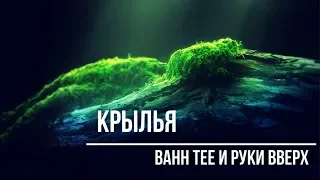 РУКИ ВВЕРХ | КРЫЛЬЯ