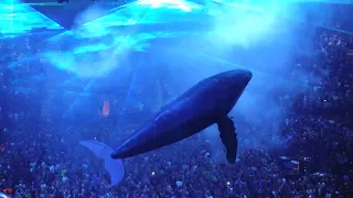 Phish - 4/22/22 - Waves, Dolphins and a Whale