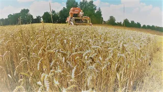 Žatva (Harvest) 2022 - Fahr MDL, Zetor 6911