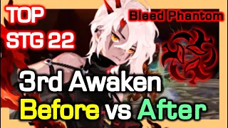 SEA TOP Bleed Phantom 3rd Awaken DPS Comparison / STG22 Before VS STG22 After / Dragon Nest